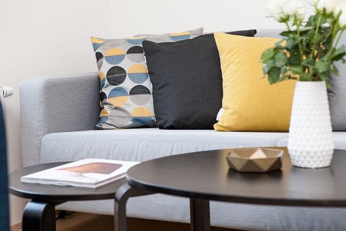 Modern Sofa and Cushions