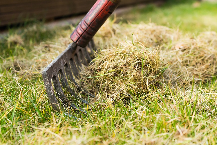 Scarifying the Lawn