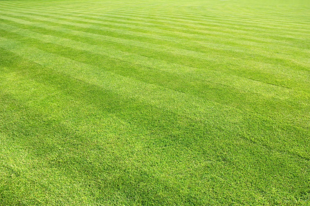 decorative lawn with stripes